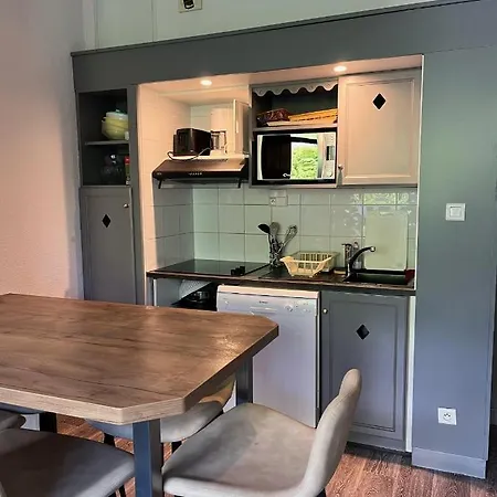 Lägenhet 6 Personnes Proche Commerce Et Remontes Mecaniques